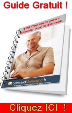 Livre Gratuit : 100 Conseils pour Réussir sur Internet !