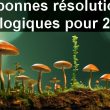 Bonnes résolutions 2024 : 10 bonnes résolutions écologiques à appliquer dès demain ! 96